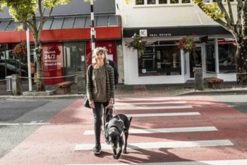 Picture Of Woman Walking With Guide Dog
